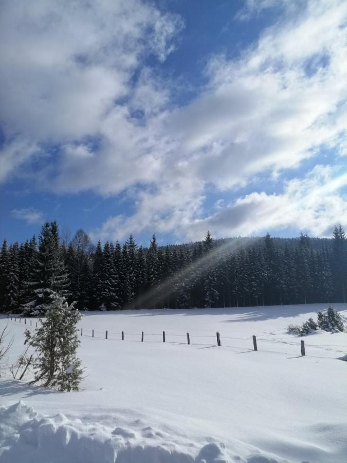 Mountain House Tadic 1 Bajina Basta Exterior foto