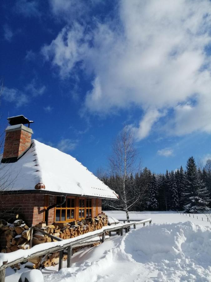 Mountain House Tadic 1 Bajina Basta Exterior foto